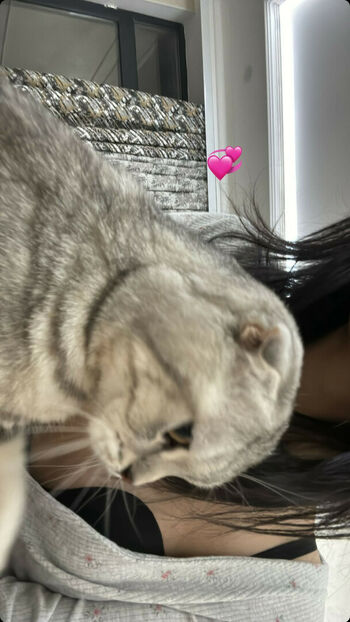 aerri_lee