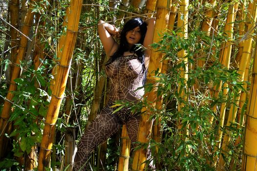 Aiysha Saagar