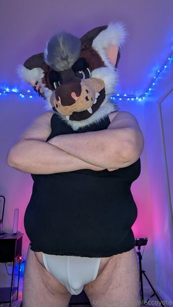 aleccoyote