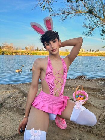 Alex Fox