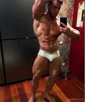 alfienorthfree
