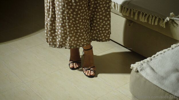 alice2242