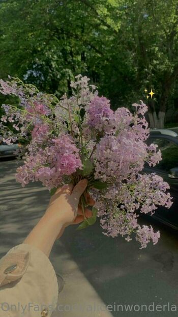 aliceinwonderland_xo