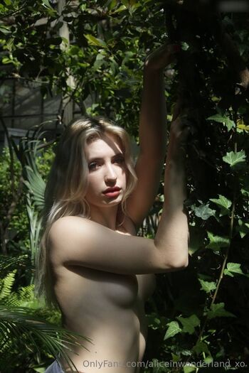 aliceinwonderland_xo
