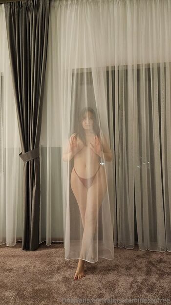alina.daminescufree