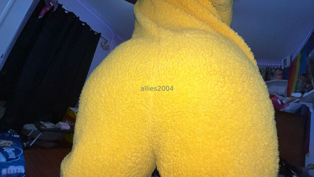 allies2004