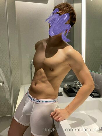 alpaca_bkk