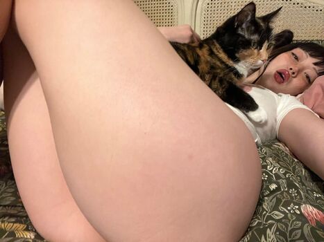 Amylouisev