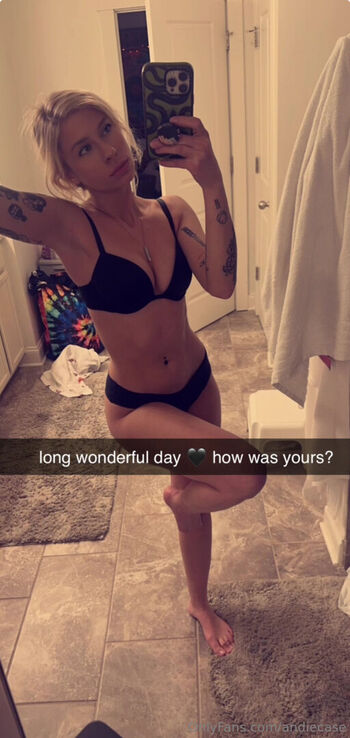 Andiecase