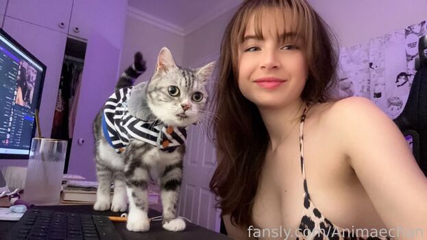 Animaechan