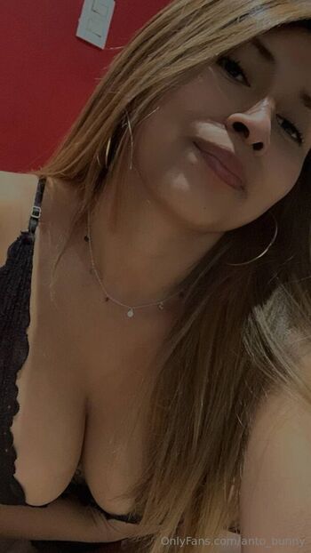 anto_bunny