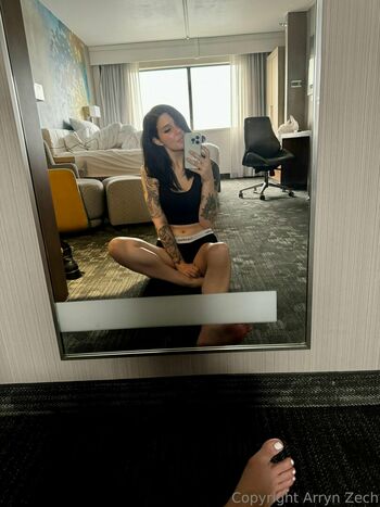 Arryn Zech