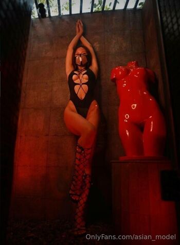 asian_model