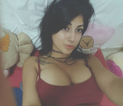 Avital Akko