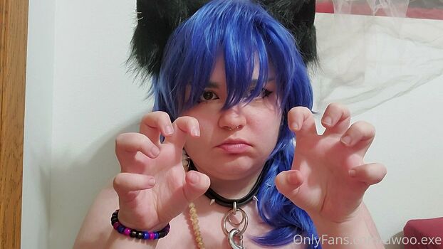 awoo.exe