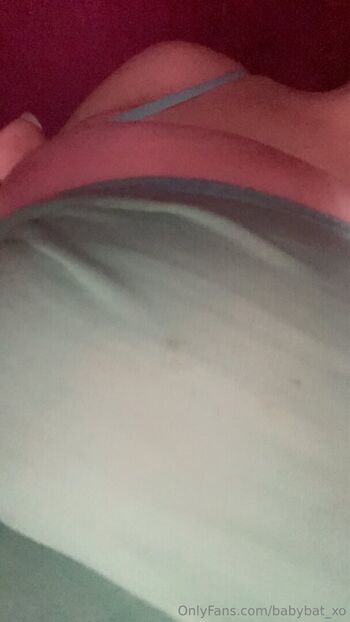 babybat_xo