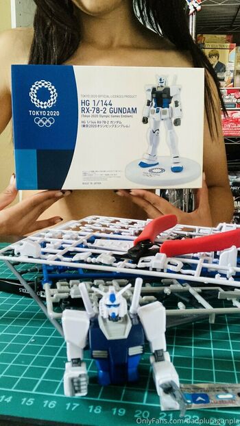 badplumgunpla