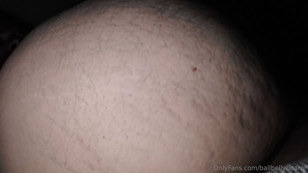 ballbellybearor