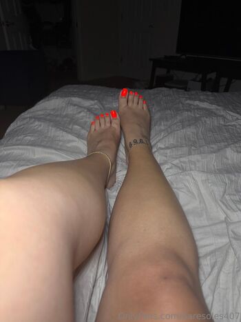 baresoles407