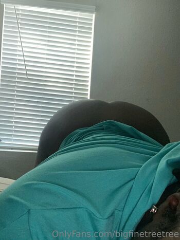 bigfinetreetree