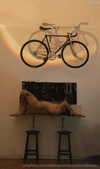 bikesbunniescatsandhoney