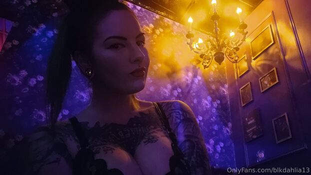 blkdahlia13
