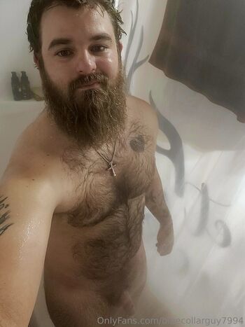 bluecollarguy7994