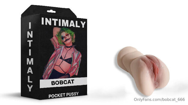 bobcat_666
