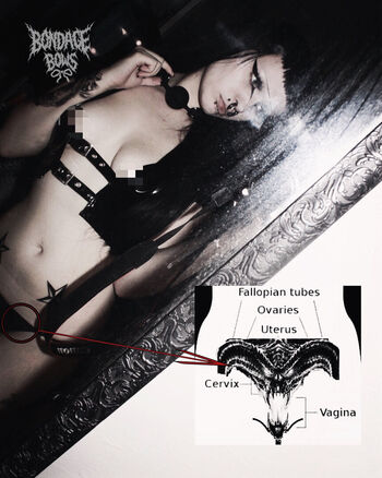 bondagebows