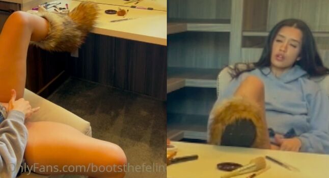 bootsthefeline