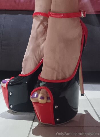 bootydea