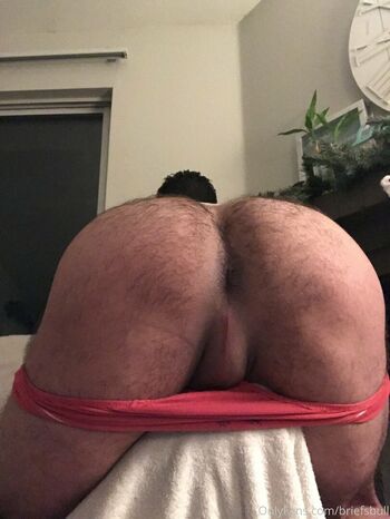 briefsbull