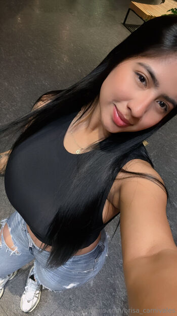 Brisa_carnivales