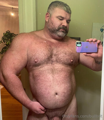 bullbrit