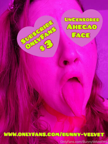 bunnyvelvettvfree