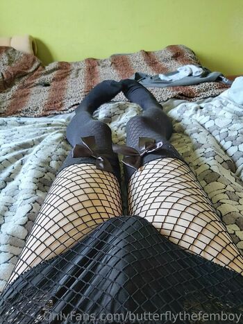 butterflythefemboy