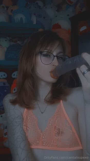 cantaloupexo