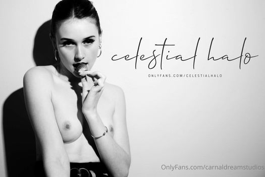 carnaldreamstudios