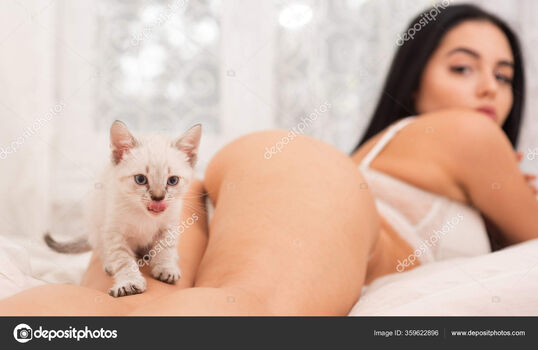 Cat Kitty