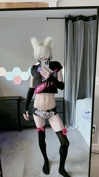 Catboiaoi