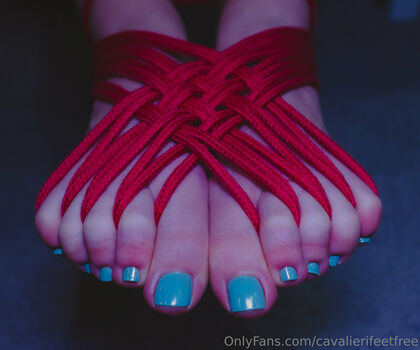 cavalierifeetfree