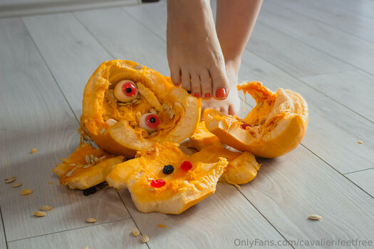 cavalierifeetfree