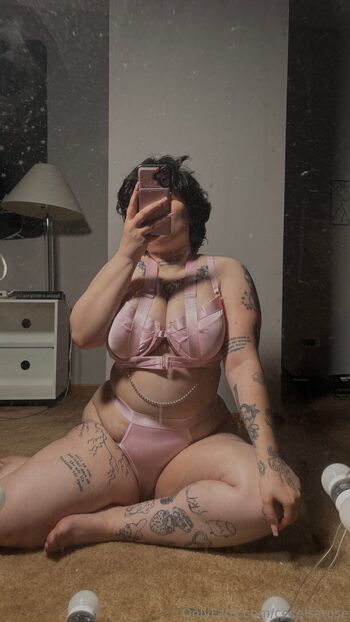 ceceisarose