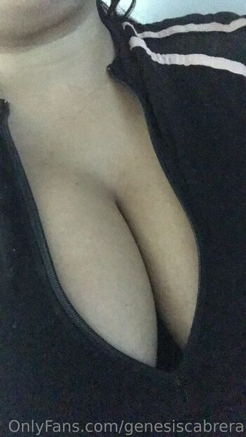 chubbyvane