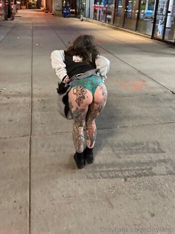 clitylitter