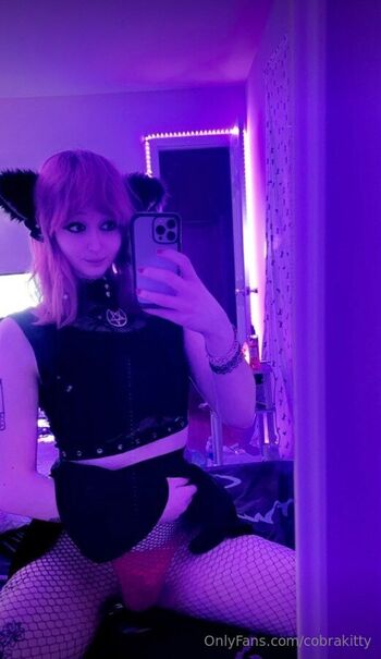 cobrakitty