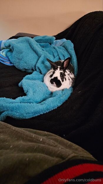 coldbuns