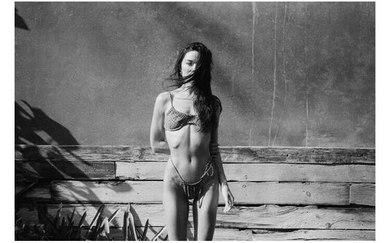 Crystal Reed