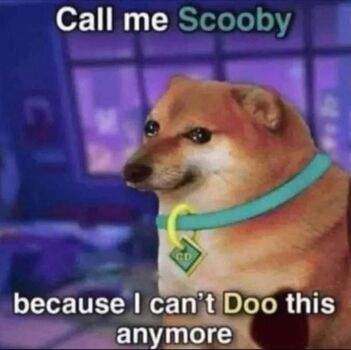 Cute__foxy
