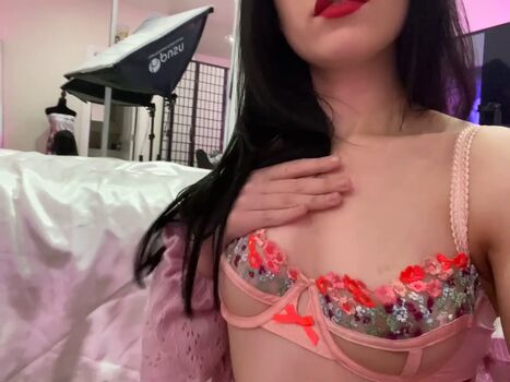 Cyberstephanie